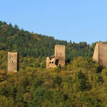 Lägenhet Fleur De Vigne Eguisheim