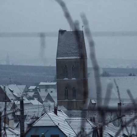 Lägenhet Fleur De Vigne Eguisheim