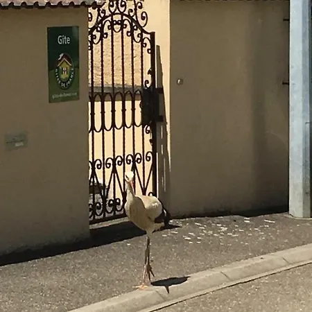 Fleur De Vigne Lägenhet *