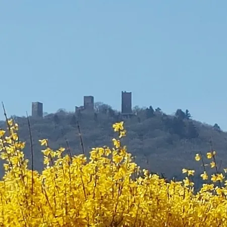 Fleur De Vigne