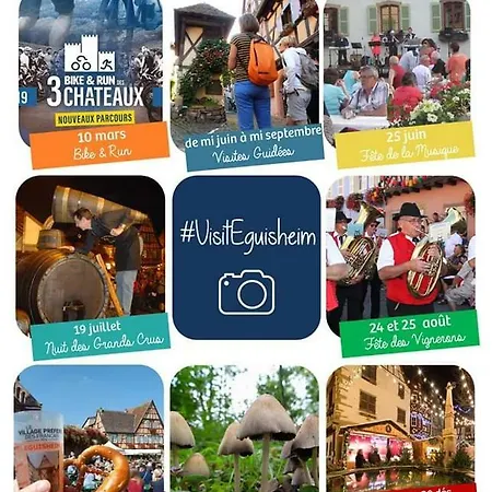 Fleur De Vigne Eguisheim