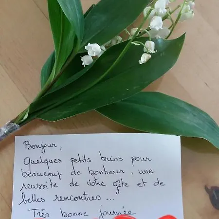 Fleur De Vigne Eguisheim