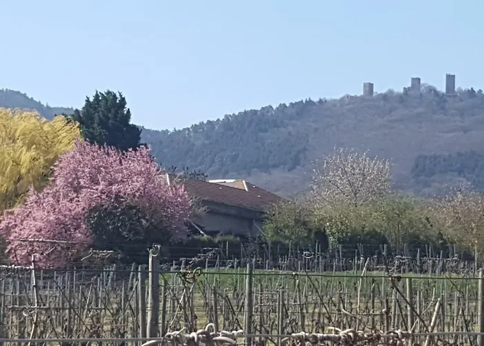 Fleur De Vigne * إِجويشا