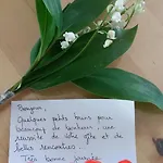 Fleur De Vigne Eguisheim