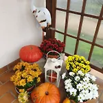 Fleur De Vigne *