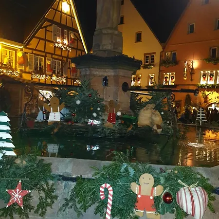 Fleur De Vigne Eguisheim