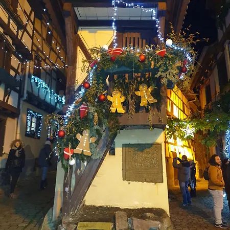 Apartment Fleur De Vigne Eguisheim