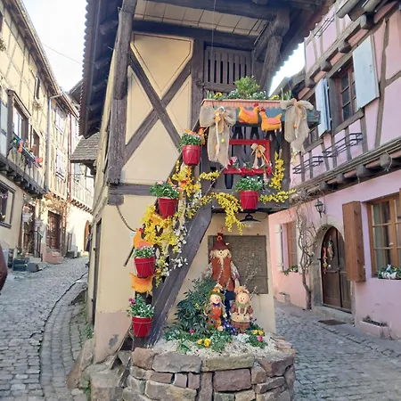 Fleur De Vigne Eguisheim