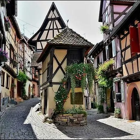 Appartement Fleur De Vigne *
