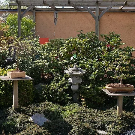 Fleur De Vigne * Eguisheim