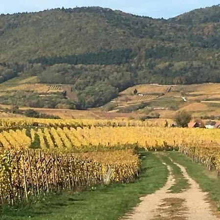 Apartamento Fleur De Vigne *