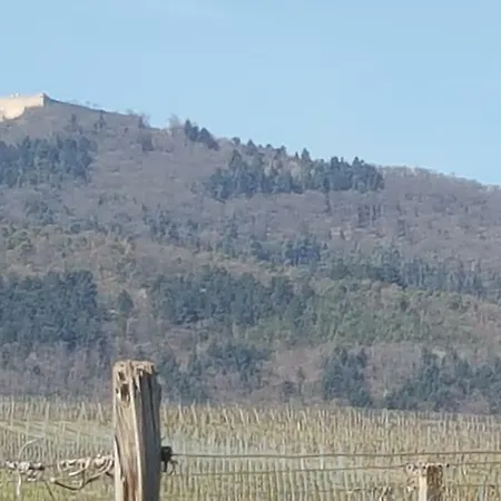 Fleur De Vigne Apartamento Eguisheim