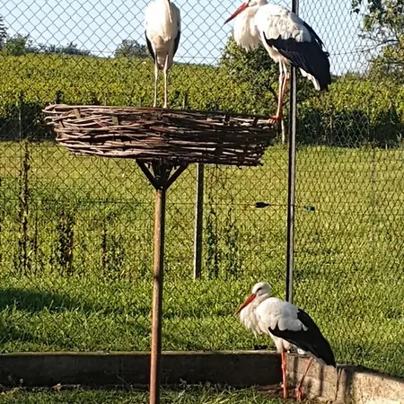 Apartamento Fleur De Vigne