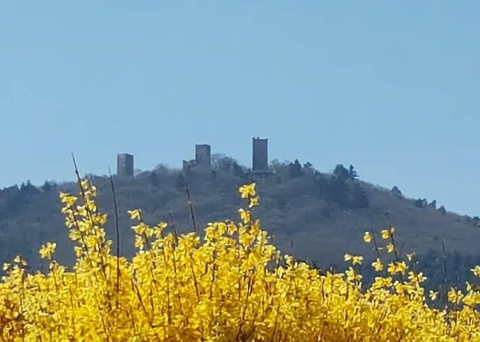 Fleur De Vigne